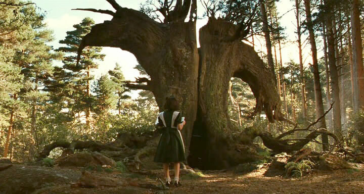 (источник: kinopoisk.ru)