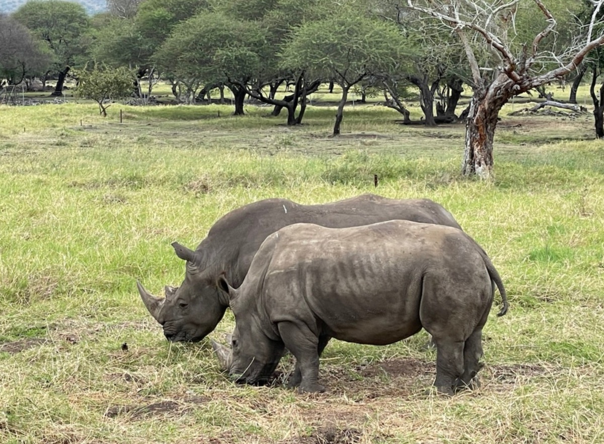 Парк Касела ( Casela Park)