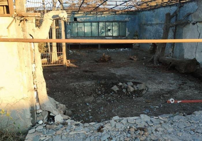 Обложка © Telegram / Евгений Балицкий