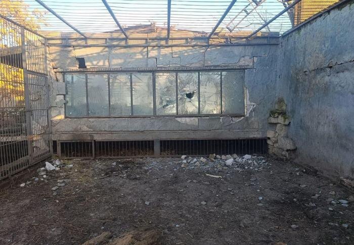 Вольер пострадал от дрона ВСУ. Фото © Telegram / Евгений Балицкий