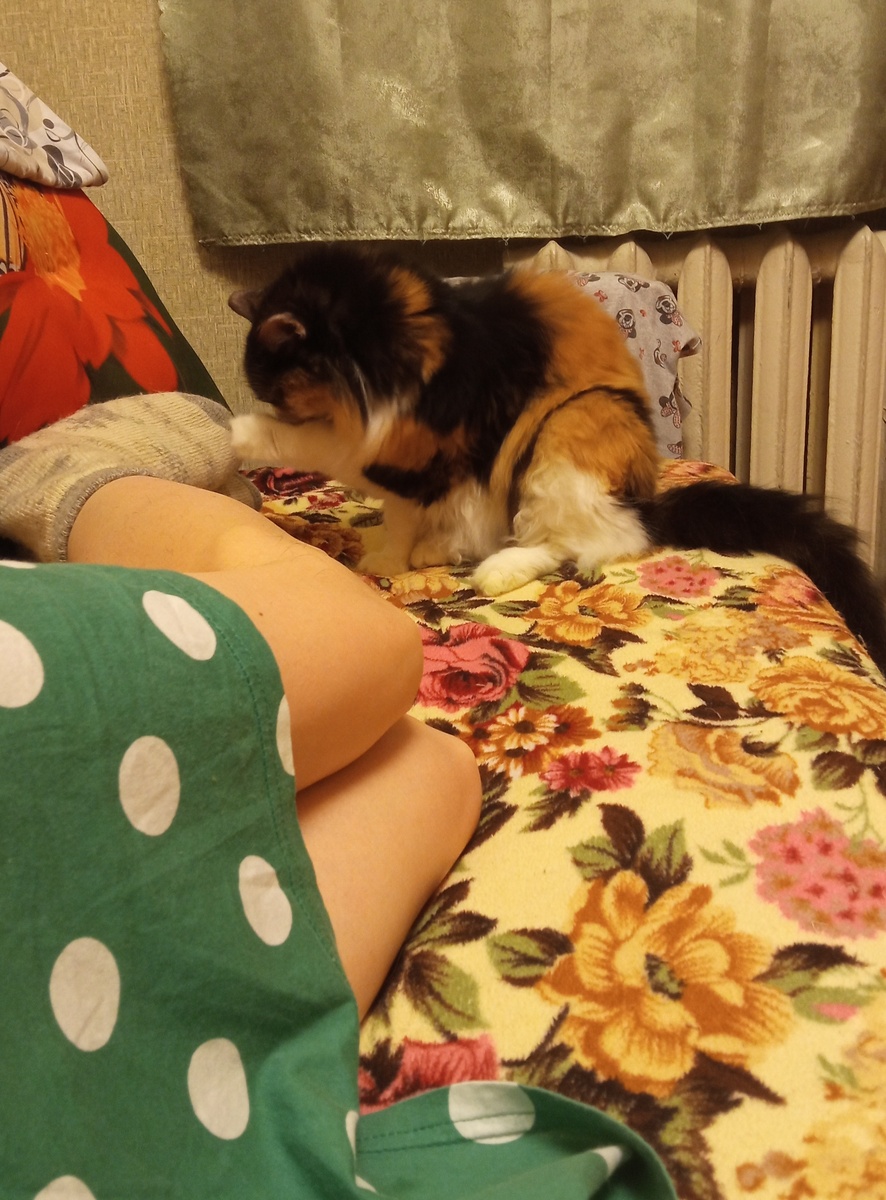 Катя в моих ногах сидит. 