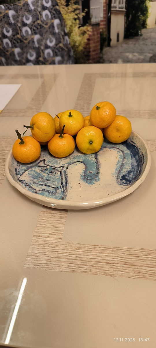               Тарелка с котом 🐾