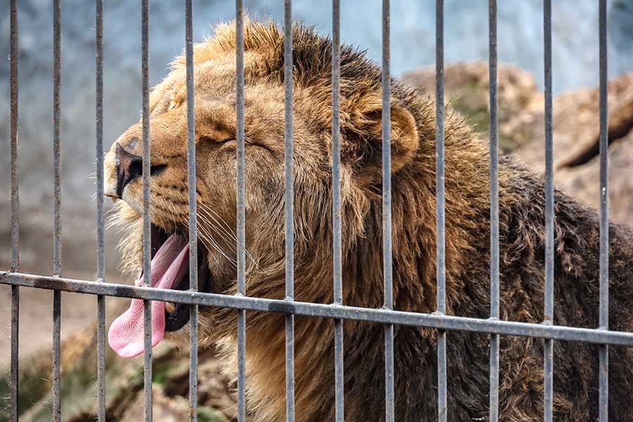    © Александр Полегенько/ТАСС
