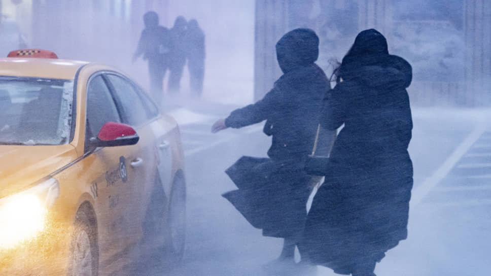 Фото: Константин Кокошкин / Коммерсантъ