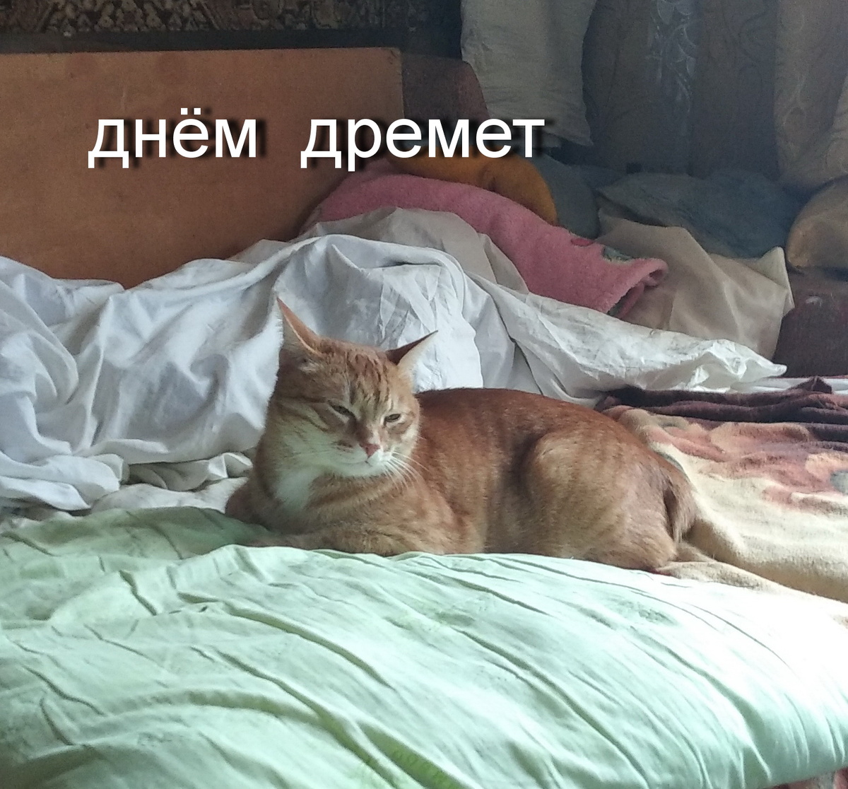 личное фото