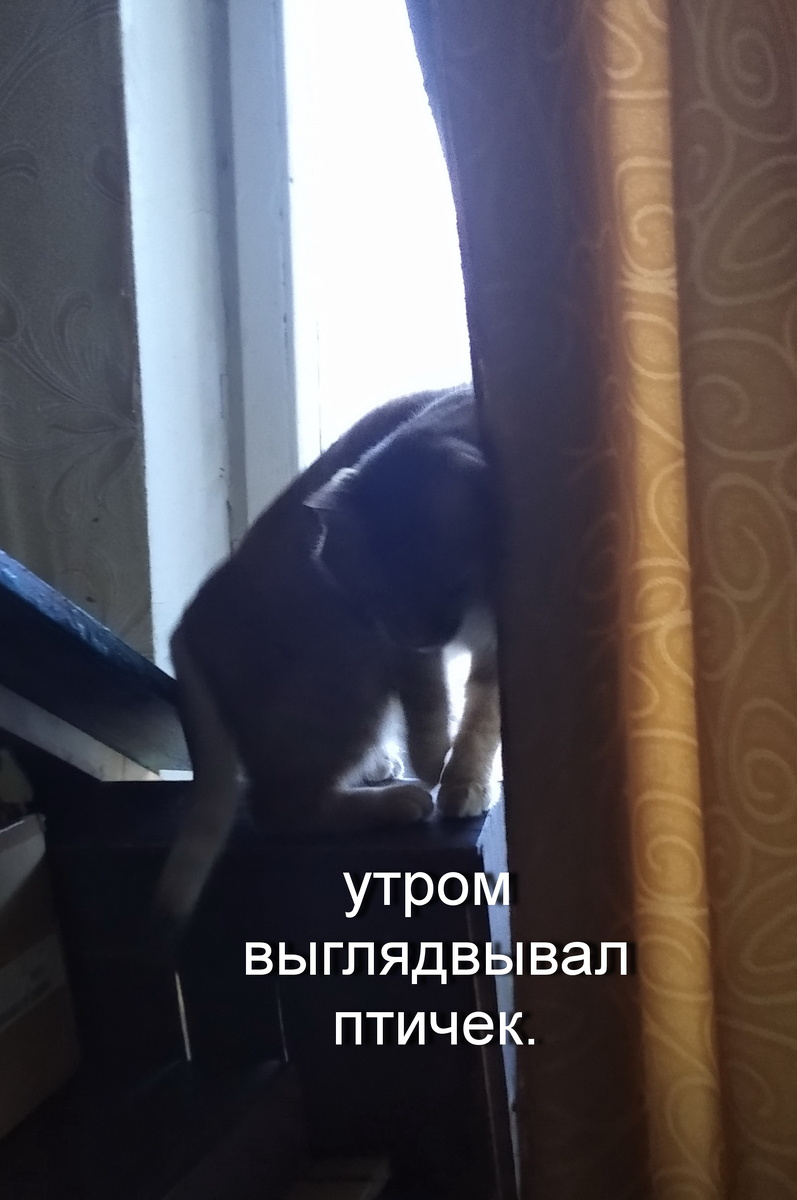 личное фото