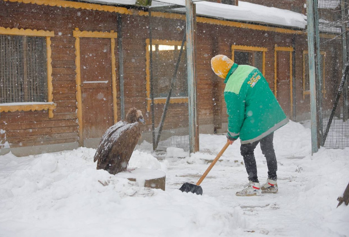 фото: t.me/lenzoopark