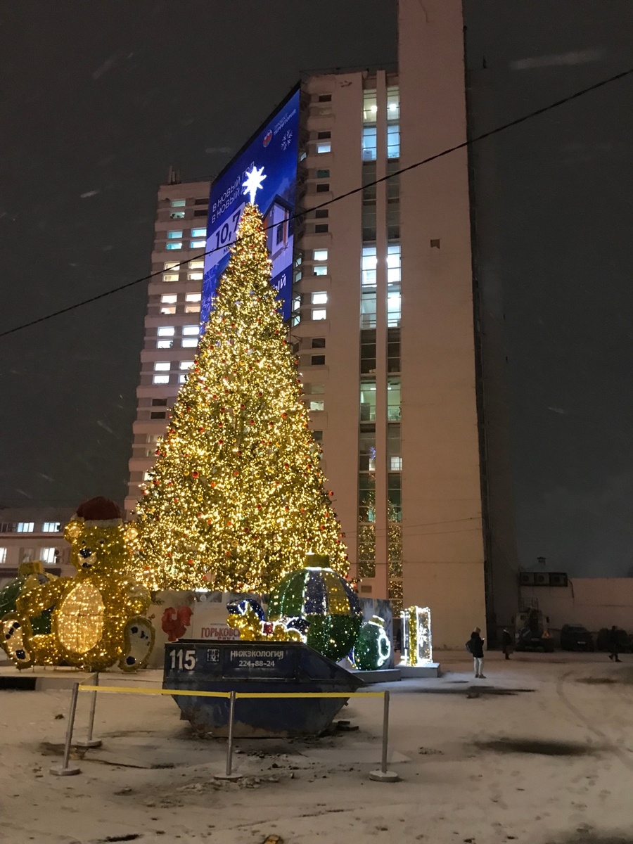 Фото автора