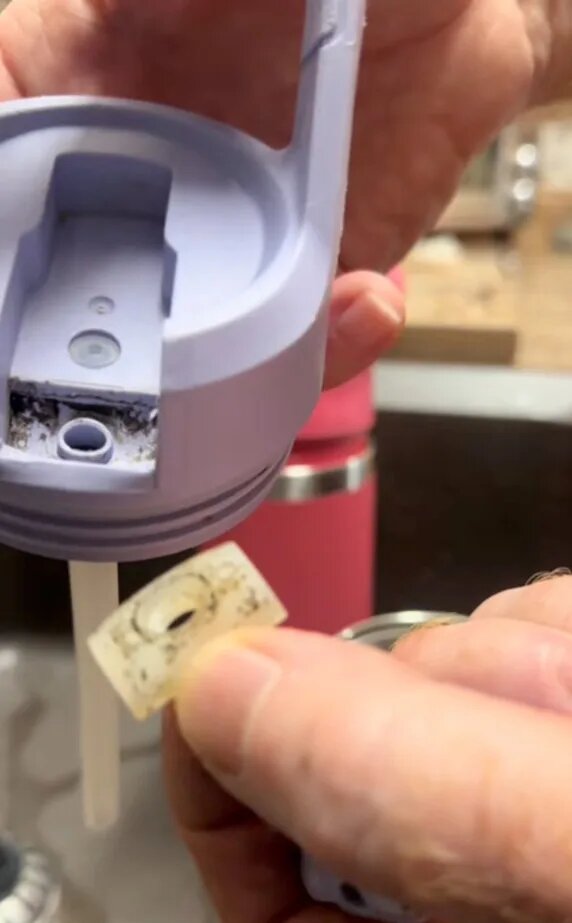    Скрин видео из TikTok