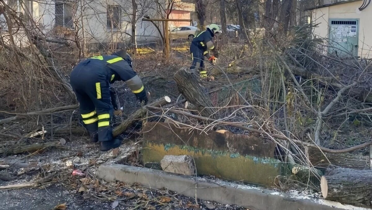     Автор: Администрация Ростова Источник: Сайт горадминистрации Ростова