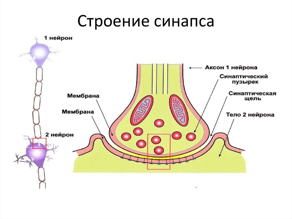 Рис. из открытых источников 