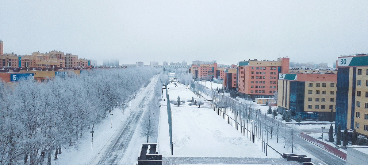 Вид из окна моего кабинета. Умопомрачительный