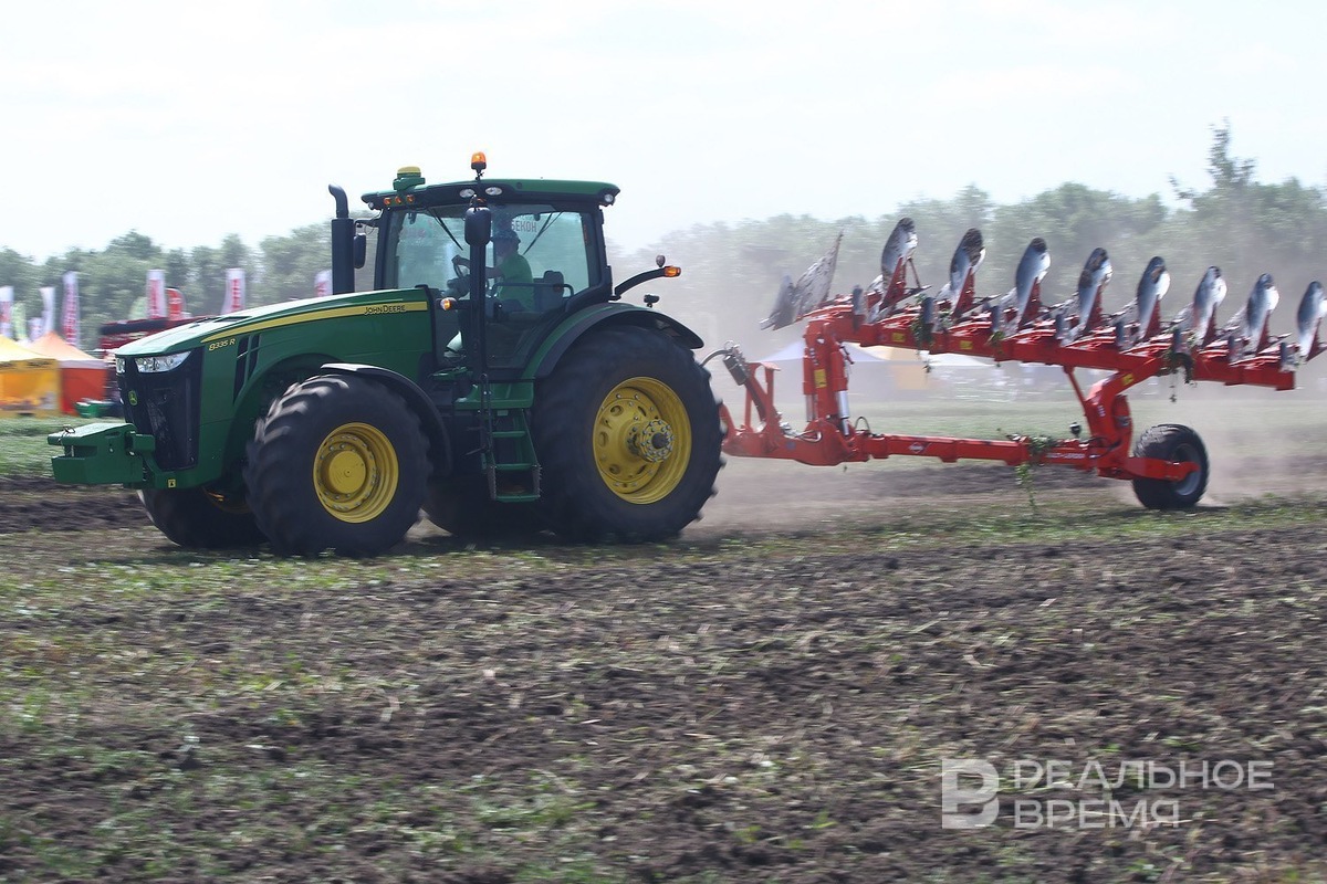   Роман Хасаев / realnoevremya.ru