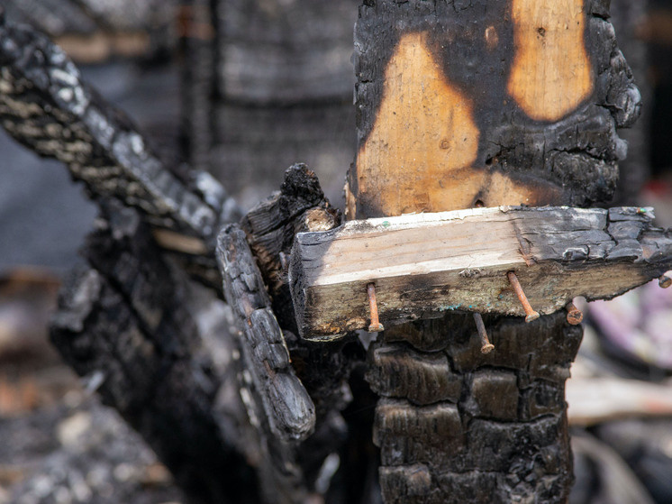     Фото Дмитрия Куткина («Вечерний Челябинск»)