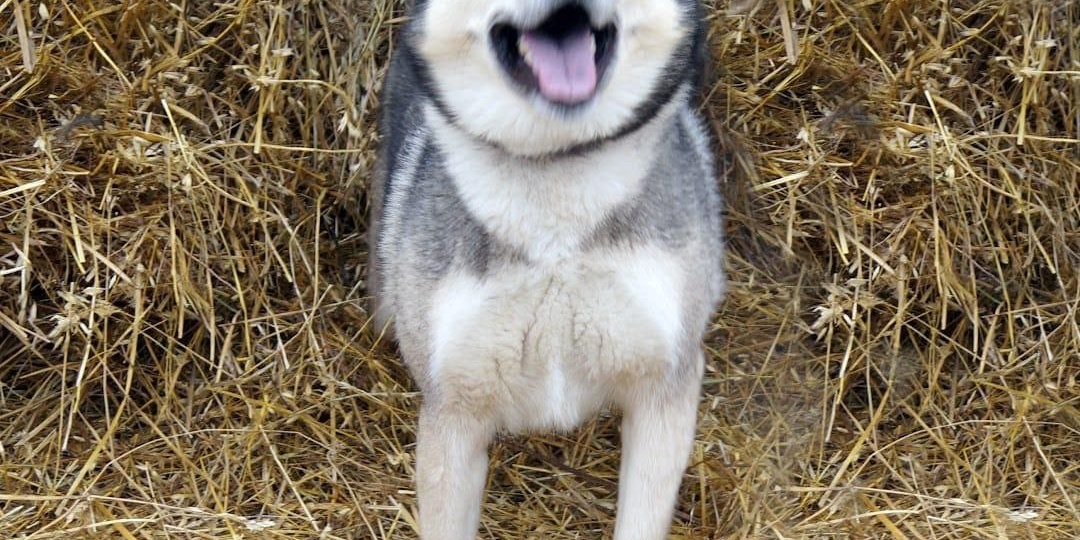 Сегодня новостей не будет...