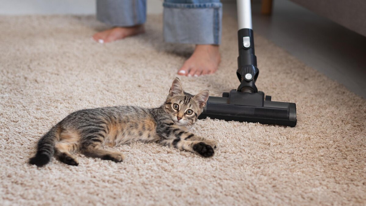    Фото: ru.freepik.com