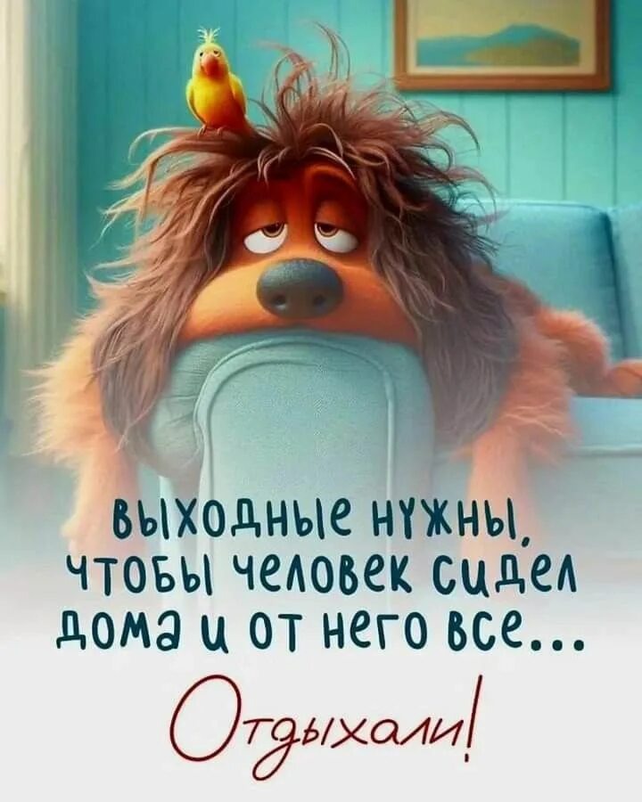 Картинка взята с бескрайни х просторов интернета. 