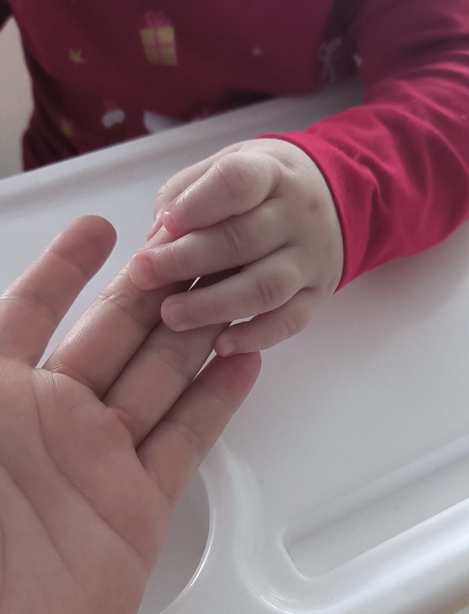 Фотографии в статье авторские