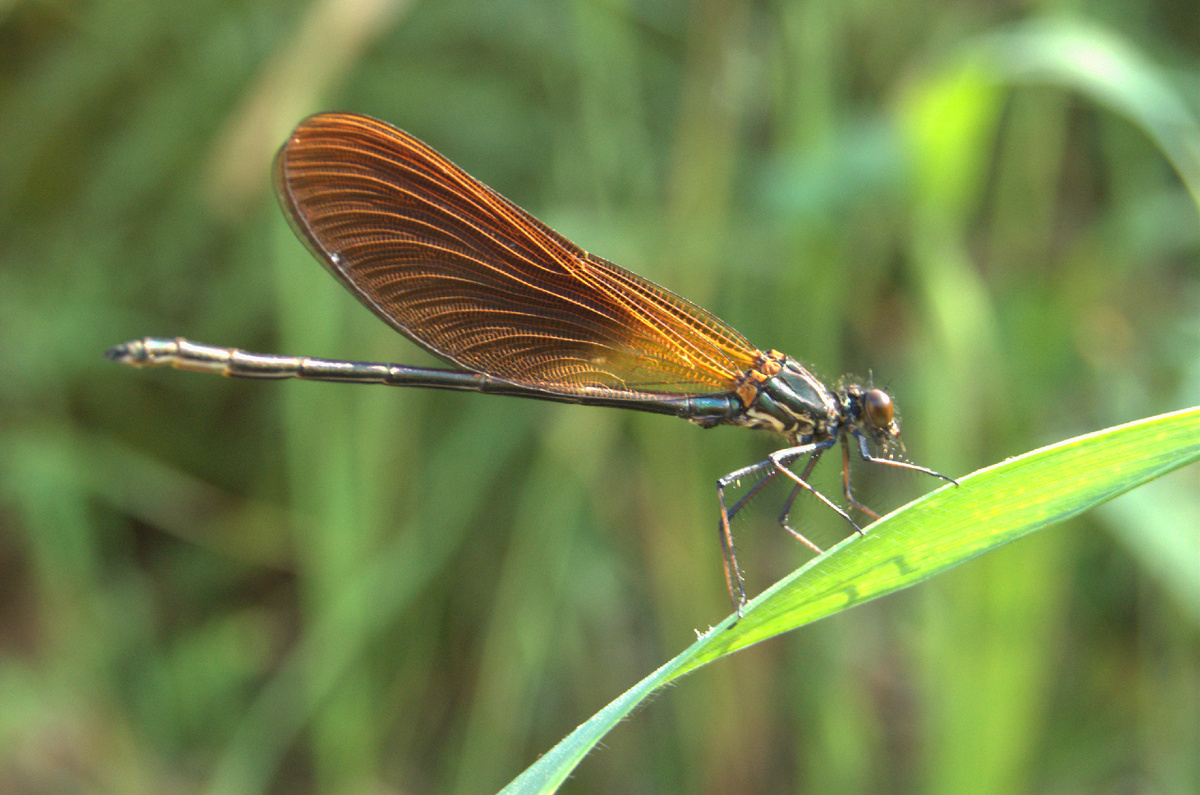 Фотография из интернета