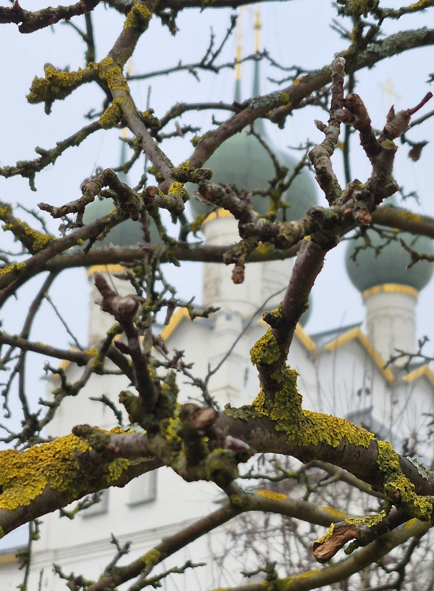 Ростов Великий. Фото автора блога.