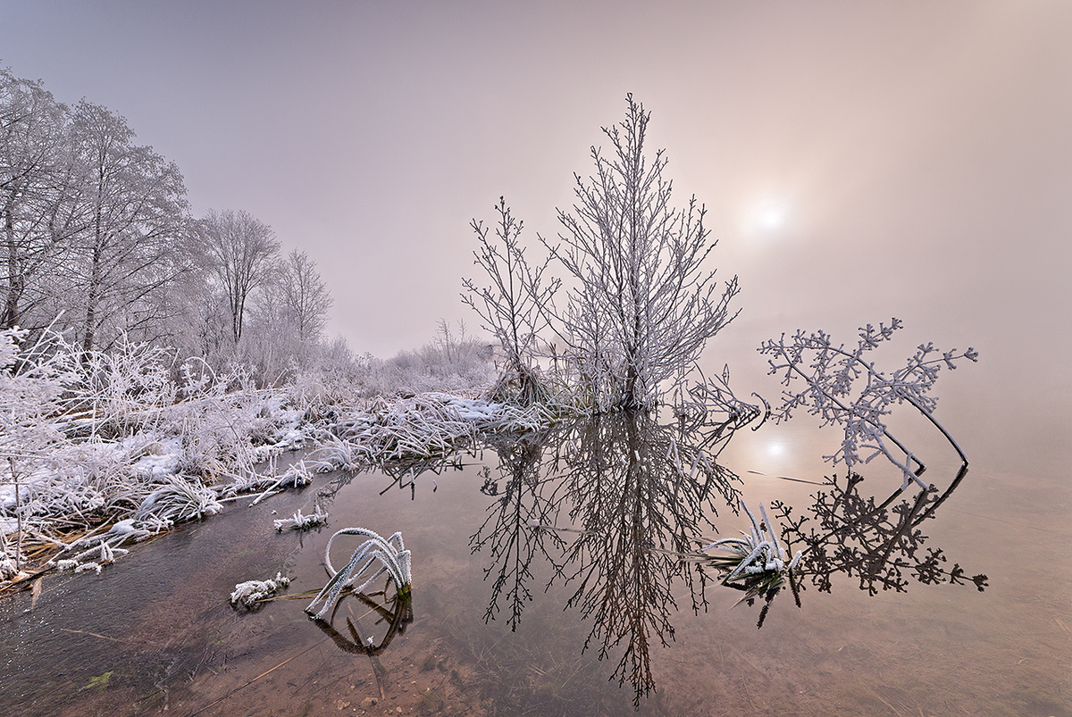 Фото Елены БЕЛОЗОРОВОЙ.