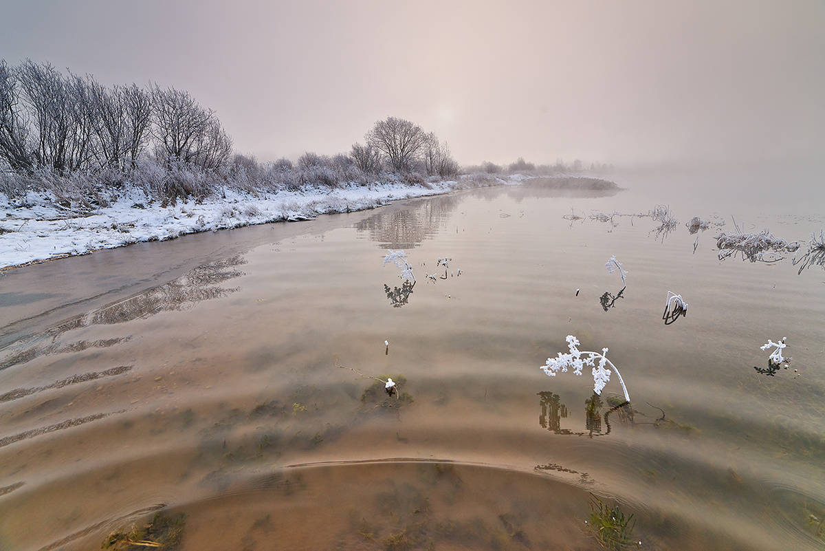Фото Елены БЕЛОЗОРОВОЙ.