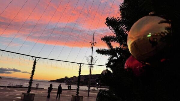    © Telegram-канал главы администрации Ялты Янины Павленко