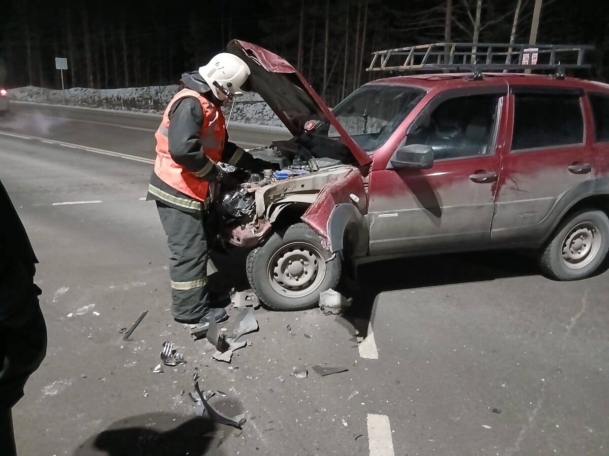    Фото: Телеграм-канал Государственного комитета Республики Карелия по обеспечению жизнедеятельности и безопасности населения