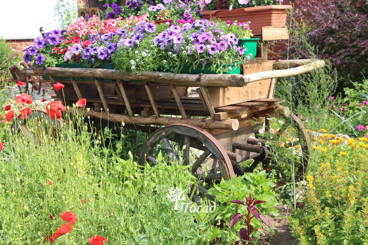 Мой канал в Телеге как эта телега с цветами) 