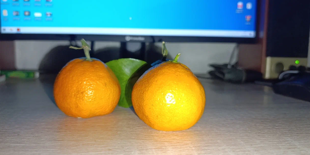 Это на Новый год ...