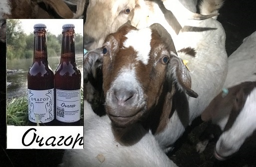 Что делать если молодого Коза-нову все отвергают?