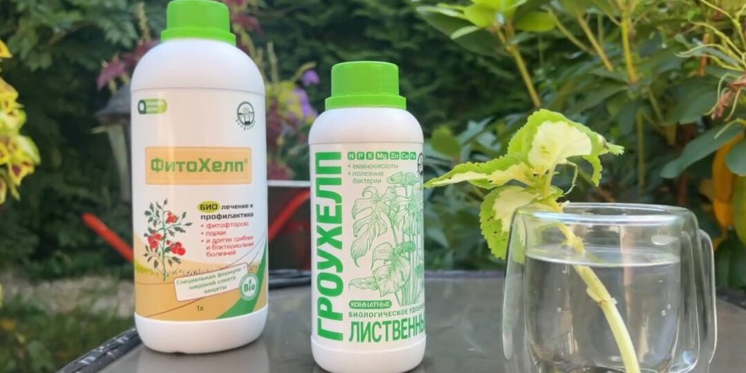 Секретная смесь для оздоровления почвы: или почему марганцовка вам не друг