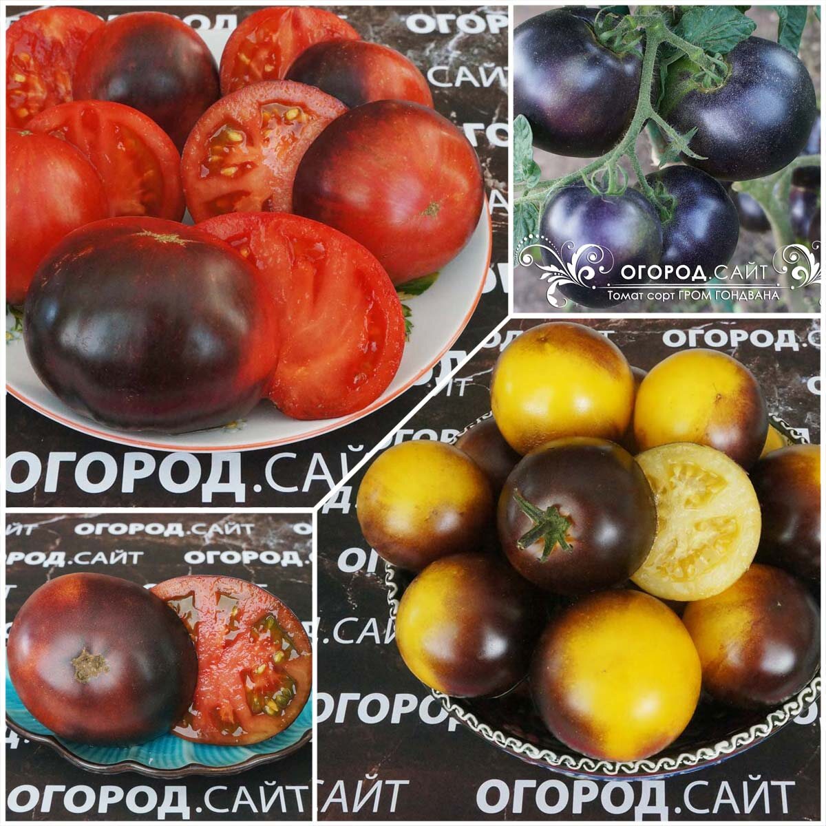 Серия Гондвана на ОГОРОД.САЙТ