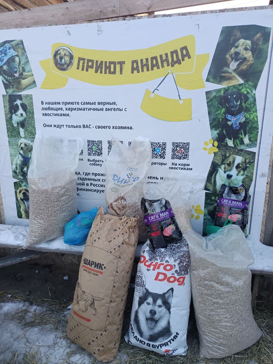 Подарки приюту от Движения первых