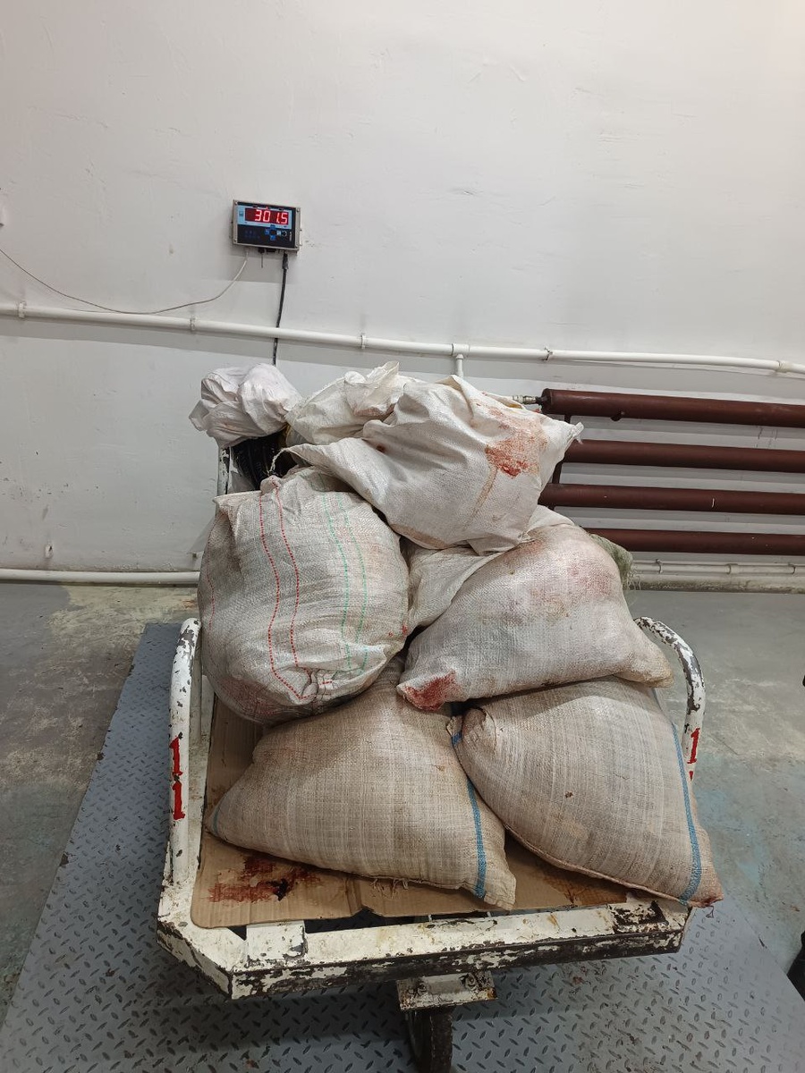 В приют привезли  мясо для супа собакам