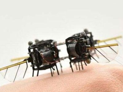    Новый микробот быстрее и проворнее шмеля