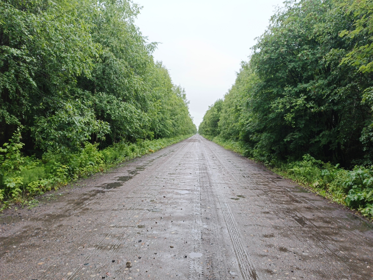Единственная грунтовая дорога, ведущая до посёлка Конвейер у Новодвинской крепости.