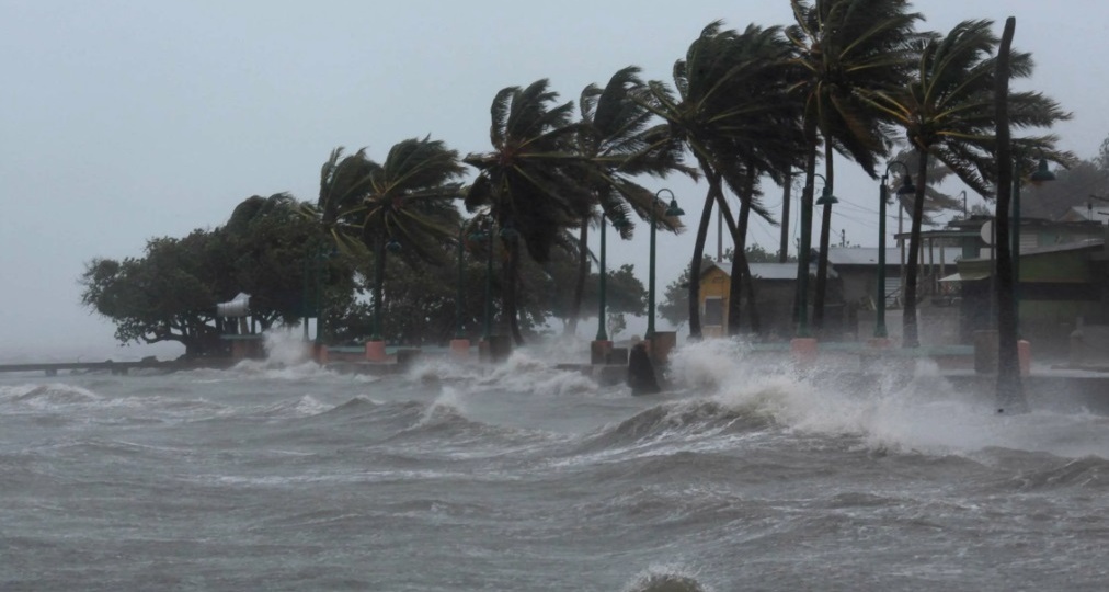 Генетическая ловушка на островах ярости. Ученые полвека не могут объяснить агрессию людей