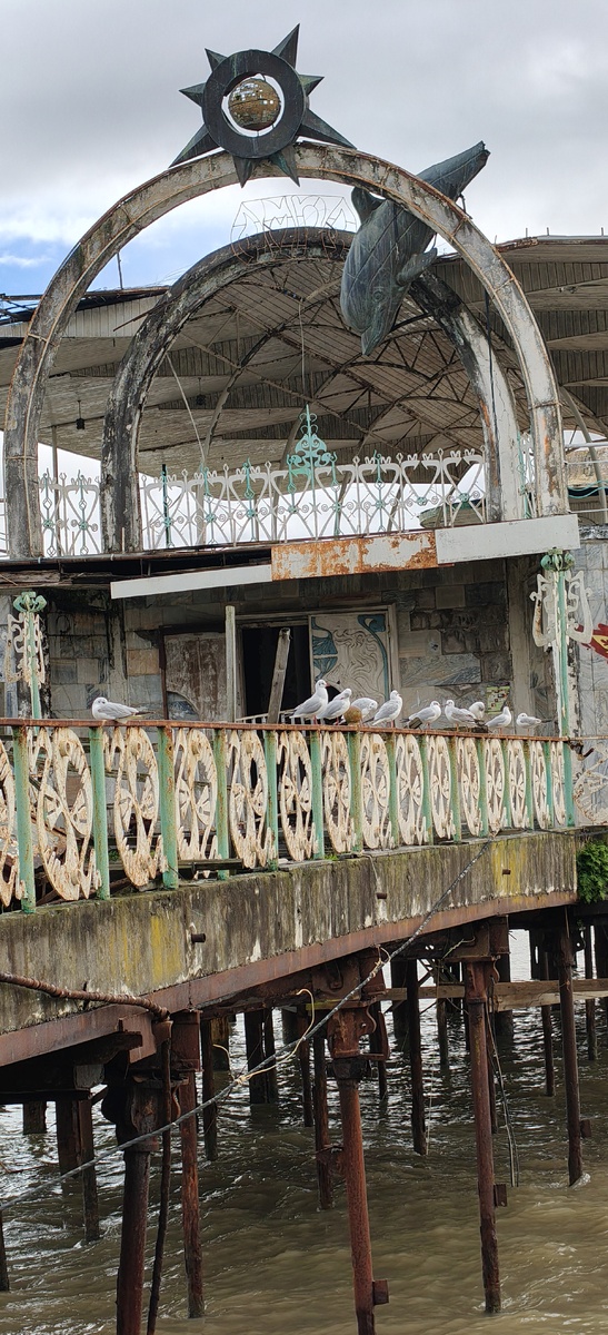 Красиво сидят😃рядком