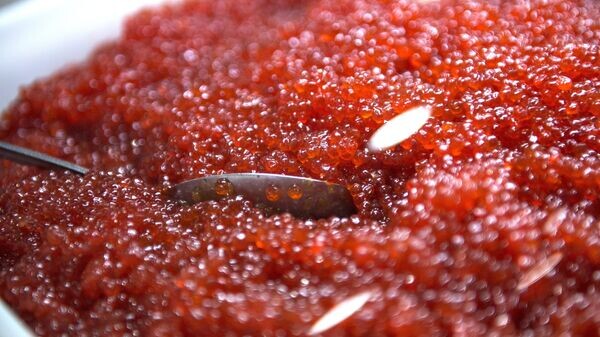    © РИА Новости . Евгений Биятов