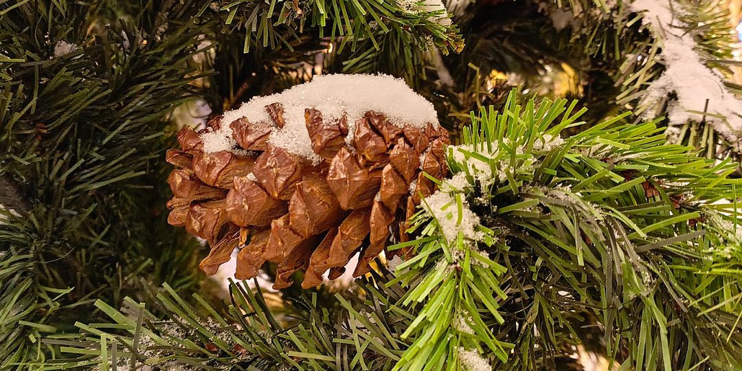 Родительский день