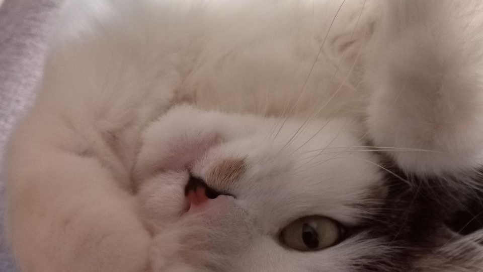 Обманчивое солнышко