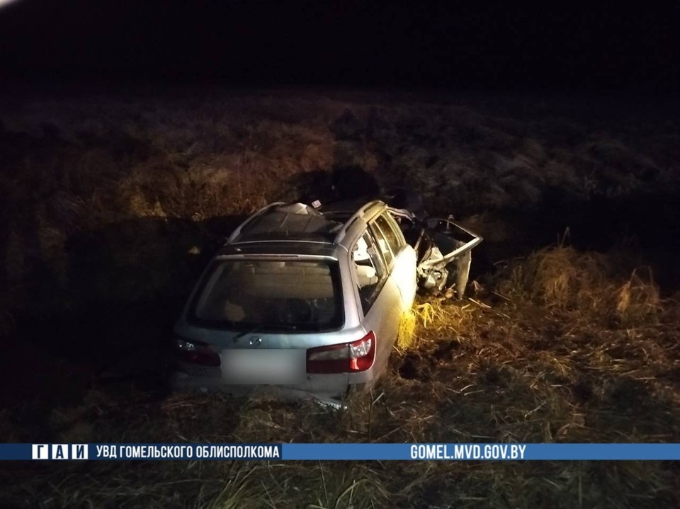    Внезапно выбежавший на дорогу лось стал причиной ДТП, в котором погибли два человека. Фото: УВД Гомельского облисполкома.
