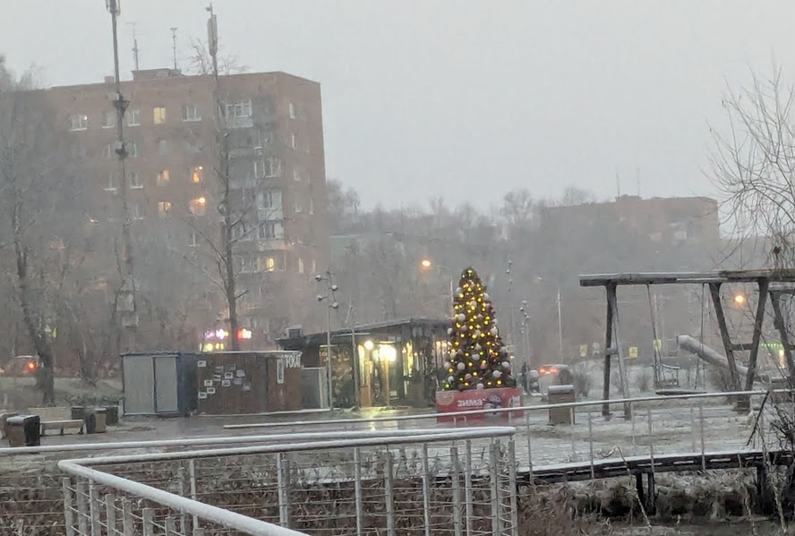 Кофейный павильон за елочкой. Фото автора