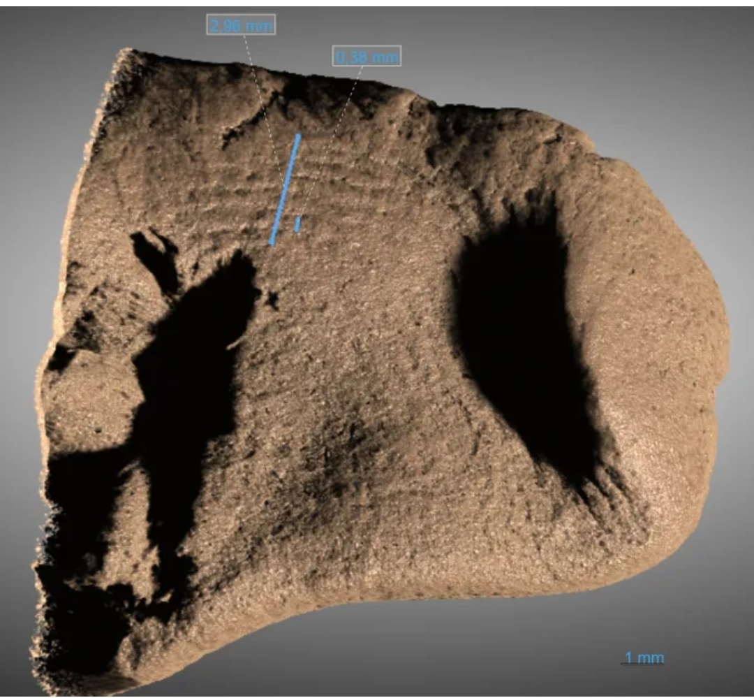 Отпечаток пальца древнего корабела