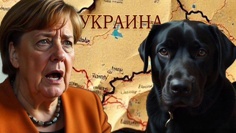    КОЛЛАЖ ЦАРЬГРАДА