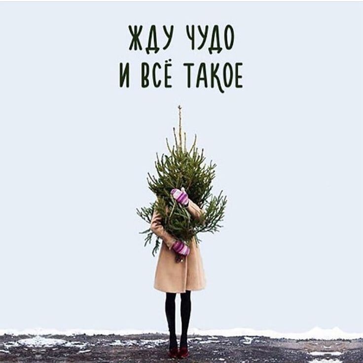 Фото из открытого источника