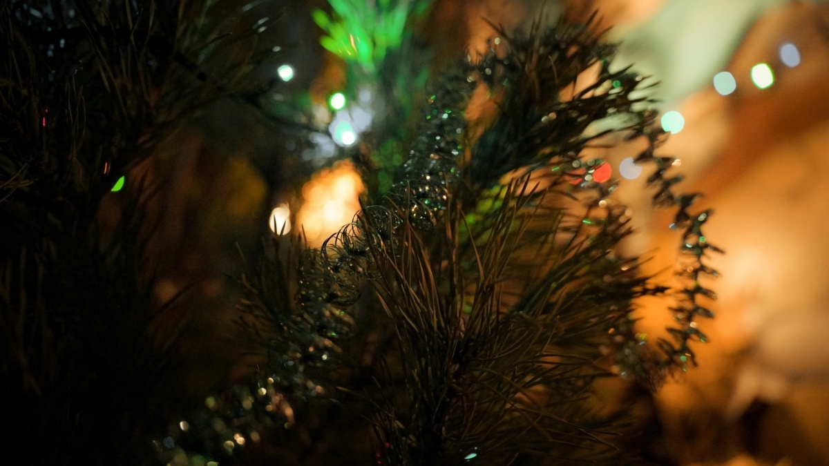 Светлана Мулыкина📷
