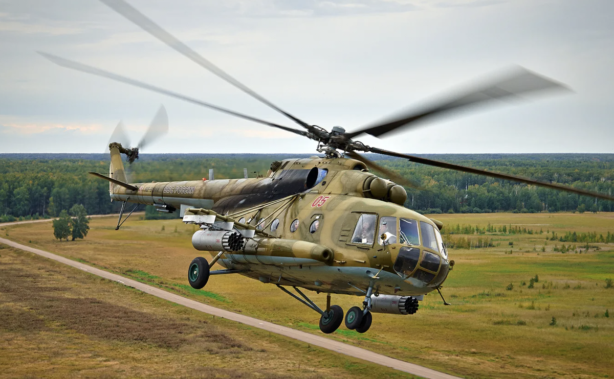 Фото из Яндекса. Спасибо автору. 