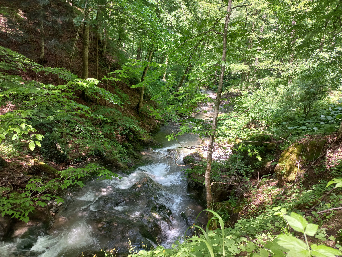 Сахрай (фото автора). Это единственное фото, которое удалось сделать из кузова "УВЗика"